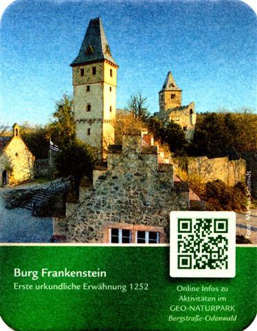 pfungstadt da-he pfung geo 2b (recht230-burg frankenstein) 